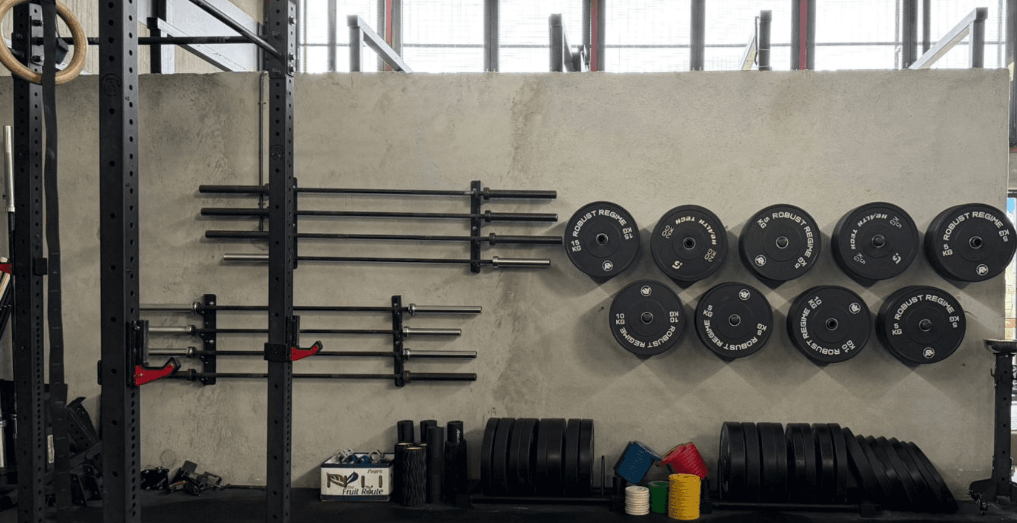 Gym Weights